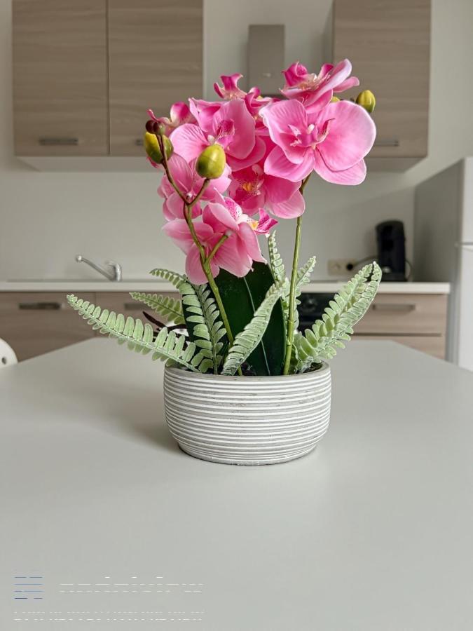 Appartamento Wauters 77 Bruxelles -charleroi-airport *